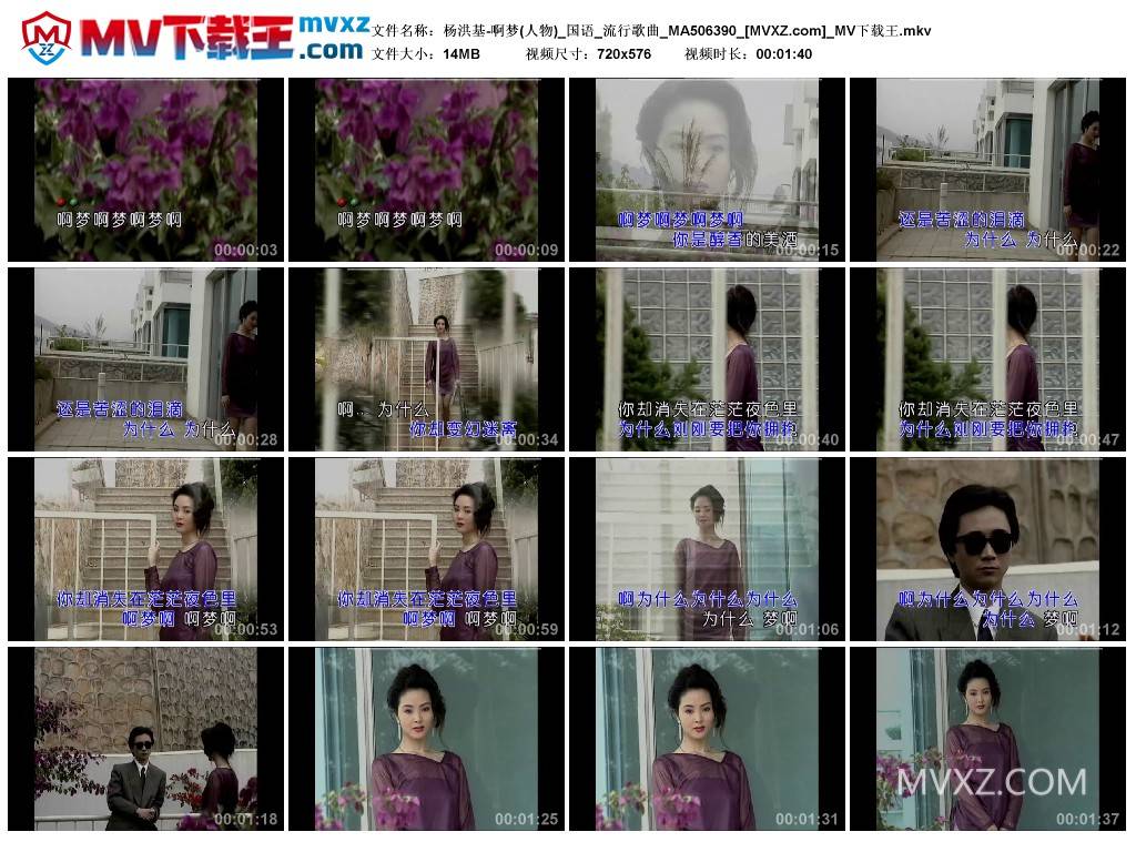 杨洪基-啊梦(人物)_国语_流行歌曲_MA506390